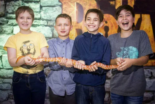Квест «Форт Боярд»